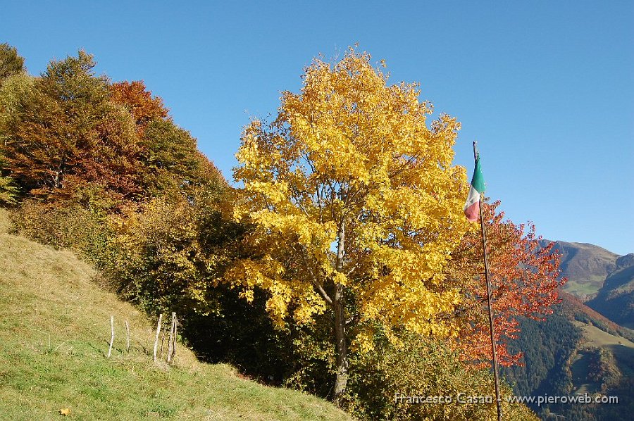 16-I colori dell'autunno in discesa.jpg